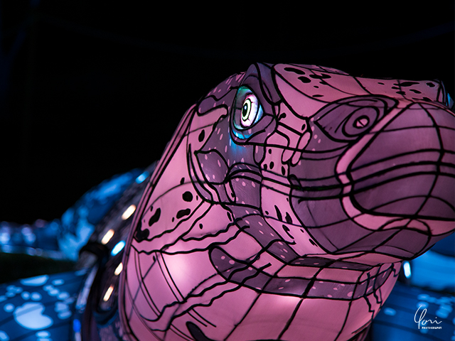 ビビッドシドニー タロンガズー VIVID SYDNEY Taronga zoo dynasaur