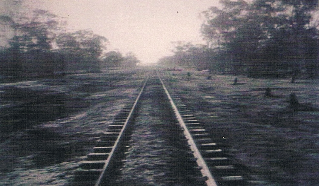 オーストラリア 植民地で初めての軽鉄道