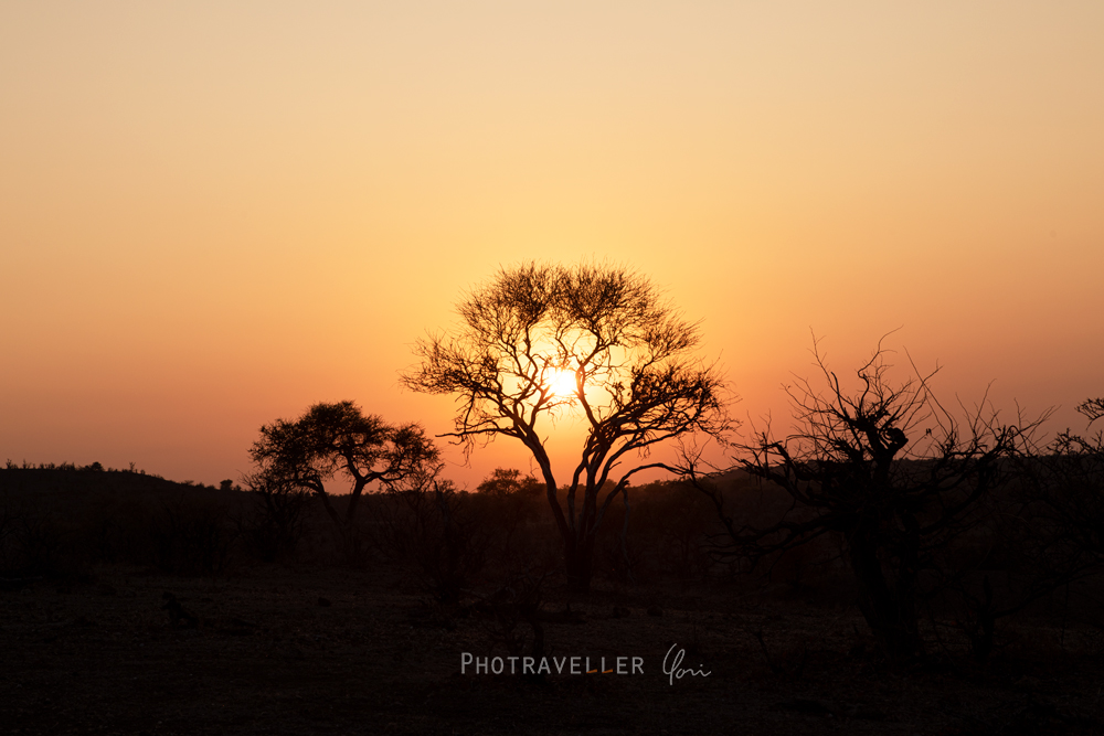アフリカ旅行記　サバンナの朝日　ボツワナ