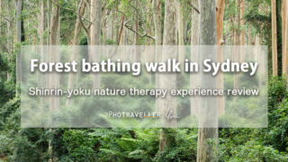 Forest therapy_Shinrin-yoku Sydney