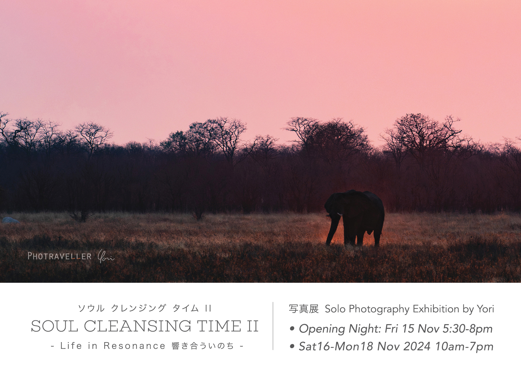 写真展 Soul Cleansing Time II