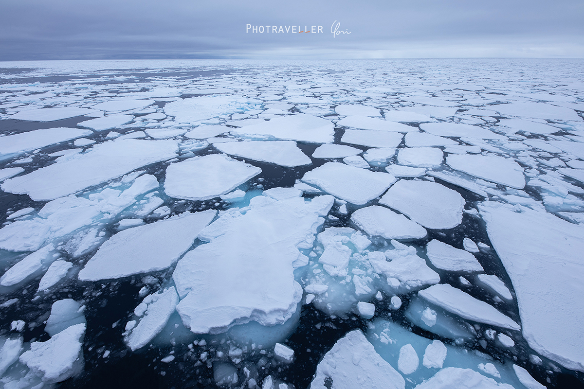 Arctic ocean Sea ice 北極海 海氷 スヴァールバル諸島