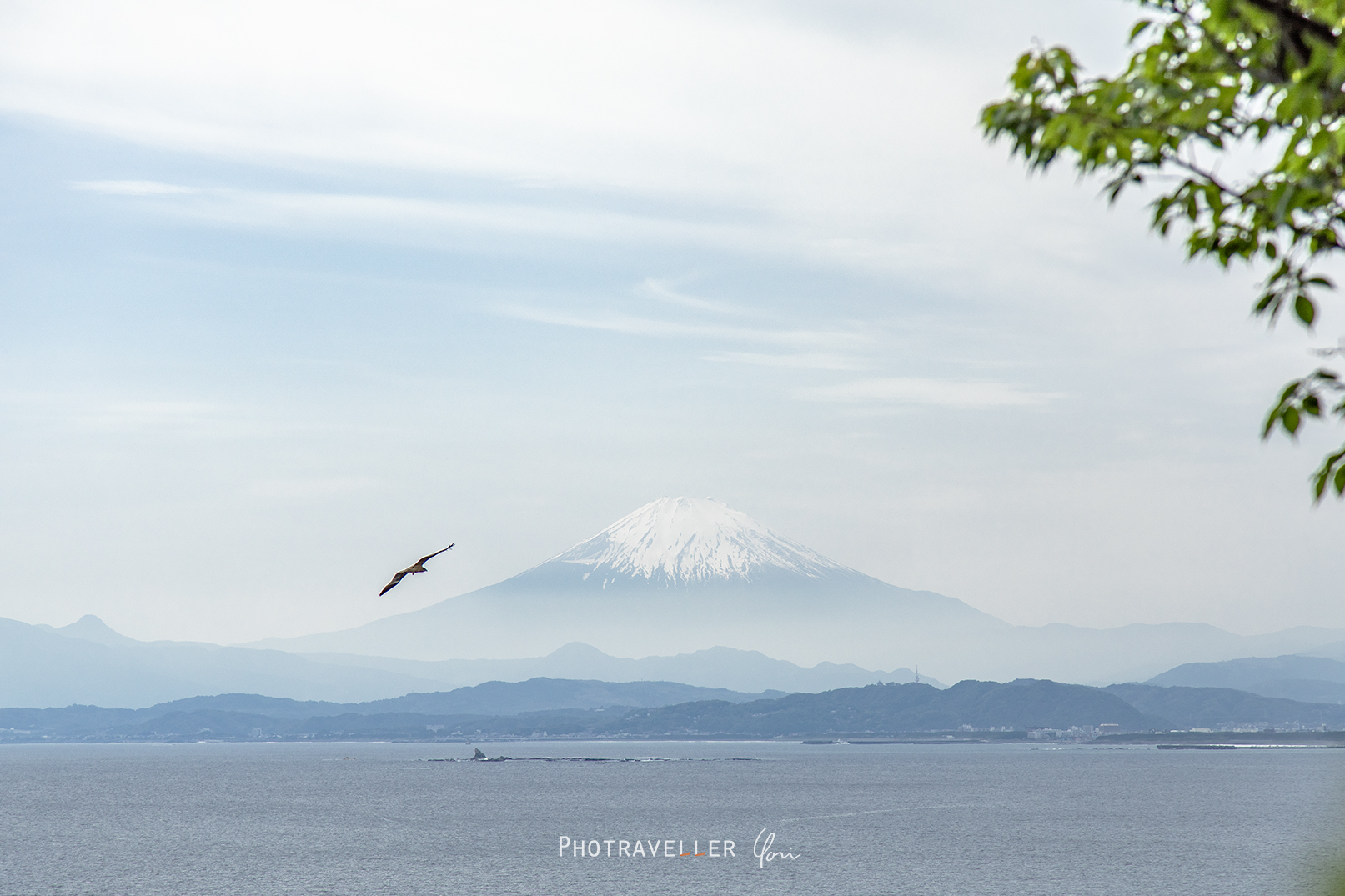 江ノ島からの富士山